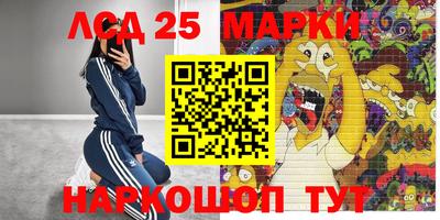 молекула духа Донецк