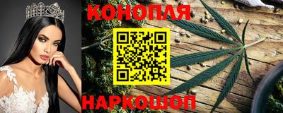 молекула духа Донецк